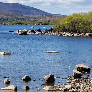 https://the-cosy-cabin.galwayhotelsireland.net